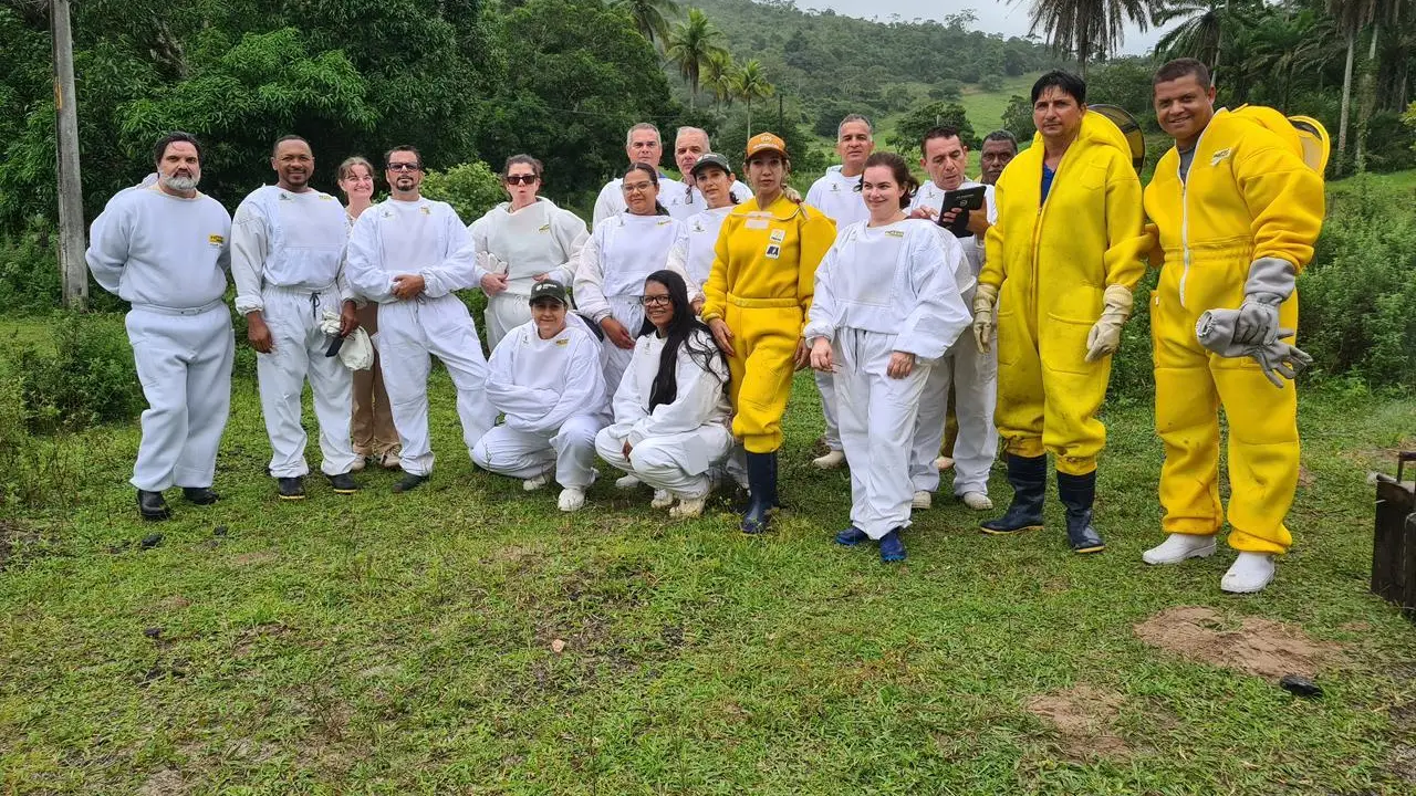 ADAB conclui capacitação sobre apicultura e manejo sanitário das abelhas na Bahia