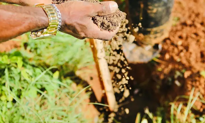 Ambientaliza Salvador promove mais de 20 dias de ações sustentáveis e educação ambiental na capital