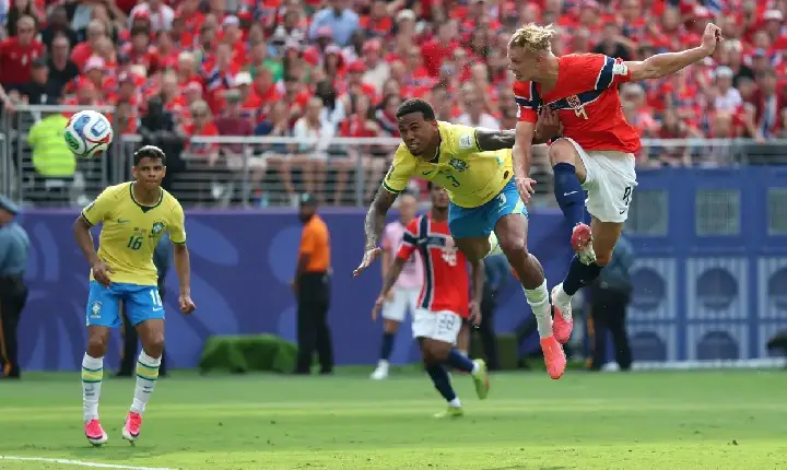 Galeria de Imagem