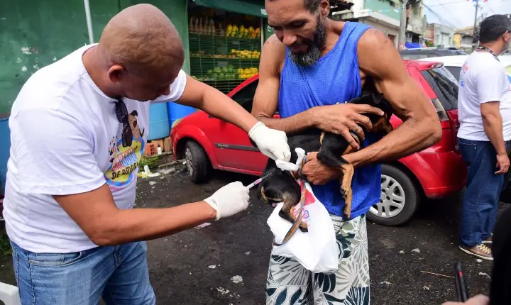 Campanha antirrábica 2026: Salvador intensifica vacinação de cães e gatos a partir desta segunda-feira (20)