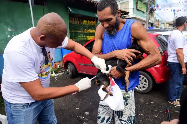 Campanha antirrábica 2026: Salvador intensifica vacinação de cães e gatos a partir desta segunda-feira (20)