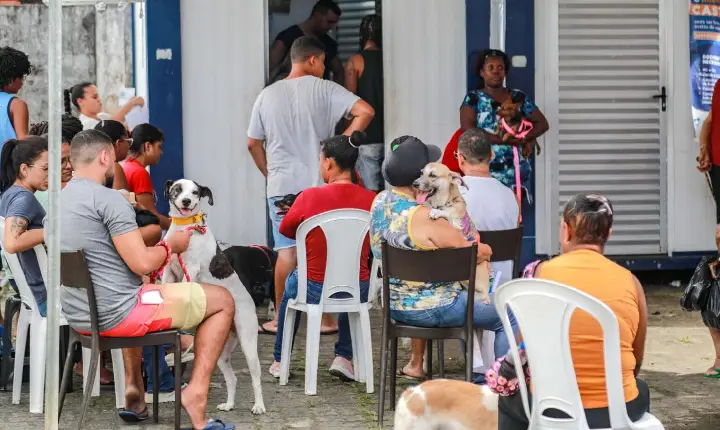Castração gratuita da Prefeitura ajuda a reduzir abandono de animais e prevenir doenças em Salvador