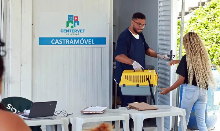 Castramóvel realiza castração de cães e gatos no Quartel de Amaralina