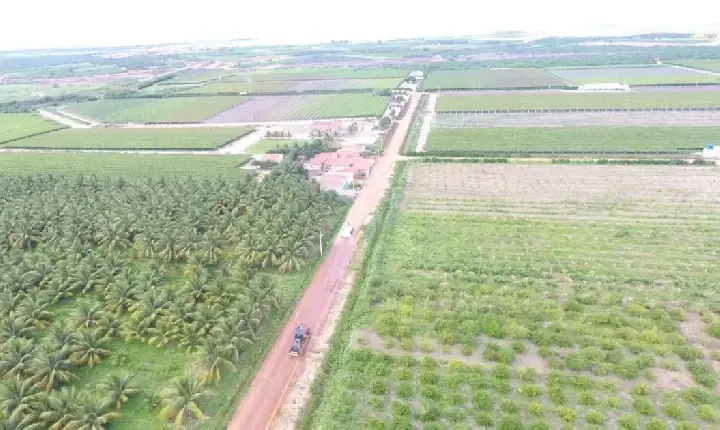 Codevasf firma contrato de cessão de infraestrutura de irrigação que beneficia área no Norte baiano