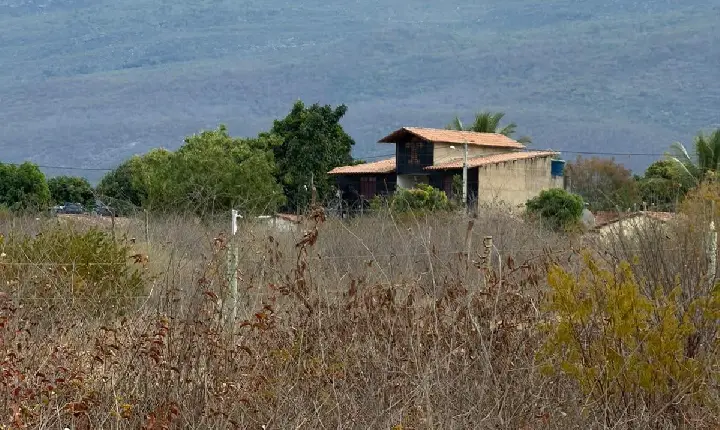 Galeria de Imagem