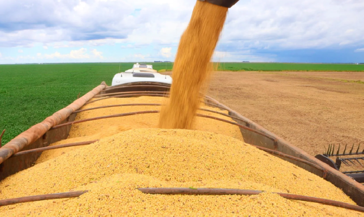 PIB do agronegócio baiano totalizou R$ 19,2 bi no 1º trimestre de 2026