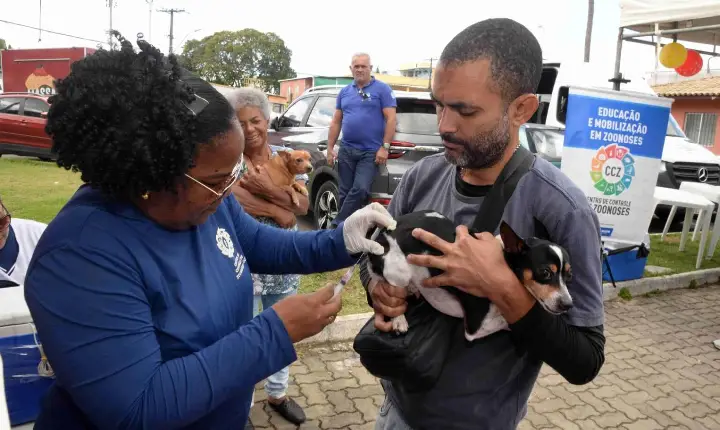 Prefeitura de Salvador alerta para prevenção da raiva e reforça vacinação de cães e gatos