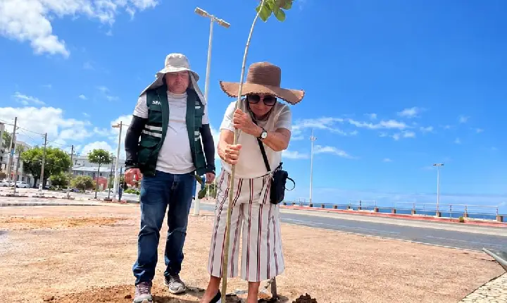 Prefeitura planta 22 árvores na orla de Ondina a pedido de moradores