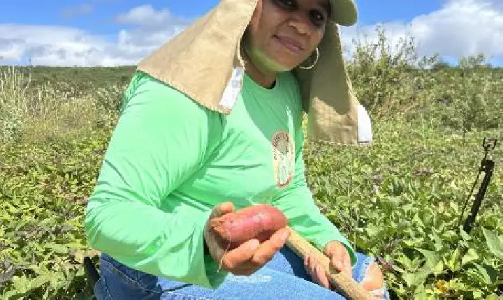 Produção coletiva fortalece mulheres de Fundo de Pasto no semiárido baiano