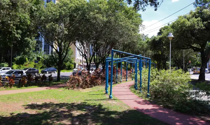 Programa Verde Perto tem atualmente 39 espaços públicos adotados pela sociedade civil em Salvador