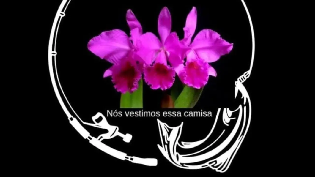 Projeto GERA fortalece inclusão e acesso a direitos para famílias atípicas no Brasil