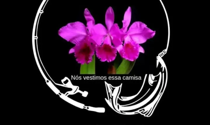 Projeto GERA fortalece inclusão e acesso a direitos para famílias atípicas no Brasil