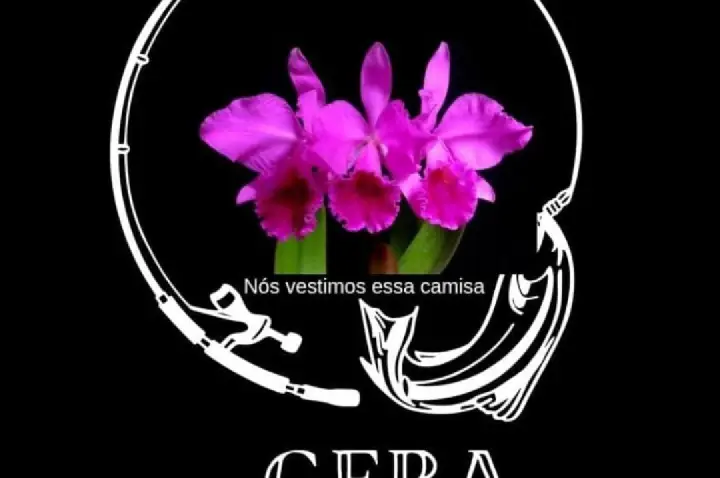 Projeto GERA fortalece inclusão e acesso a direitos para famílias atípicas no Brasil