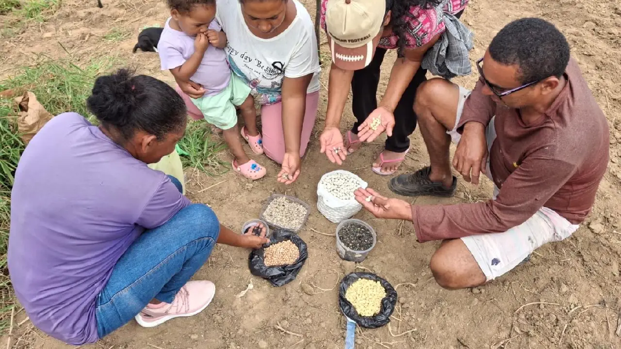 Projeto Trinacional Raízes Agroecológicas será lançado na Bahia para fortalecer a agricultura familiar, a produção e a conservação de sementes crioulas