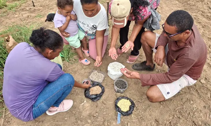 Projeto Trinacional Raízes Agroecológicas será lançado na Bahia para fortalecer a agricultura familiar, a produção e a conservação de sementes crioulas