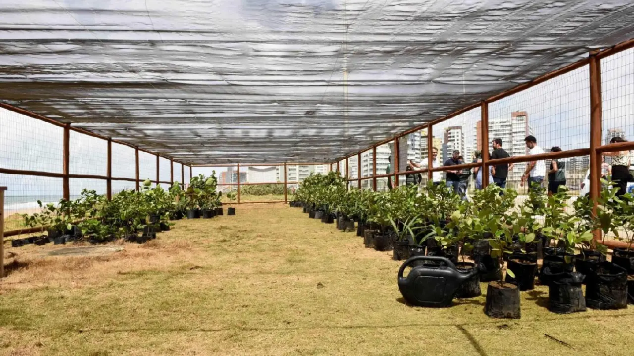 Salvador ultrapassa 15 mil mudas plantadas em 2026 e supera recorde do ano passado; confira ações de setembro