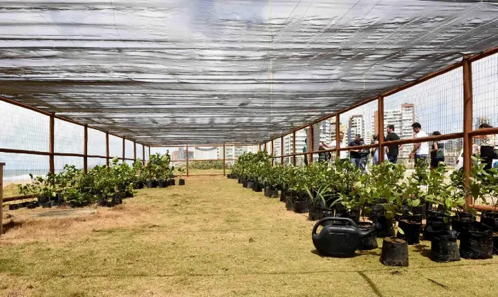Salvador ultrapassa 15 mil mudas plantadas em 2026 e supera recorde do ano passado; confira ações de setembro