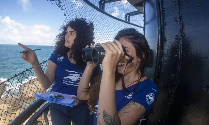 Temporada de observação de baleias jubarte começa nesta quarta (15) em Salvador com ponto no Farol da Barra