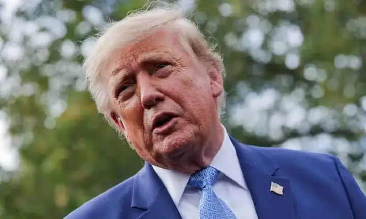 Trump elogia rapidez da apuração nas eleições do Brasil em rede social