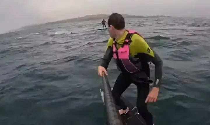 Tubarão persegue surfista por mais de 3 km na Califórnia; veja vídeo