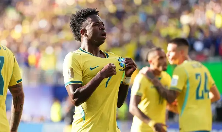 Galeria de Imagem