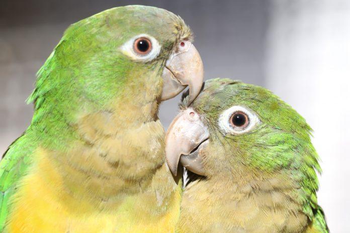 Governo da Bahia celebra o aniversário de 13 Unidades de Conservação no Dia Mundial do Meio Ambiente