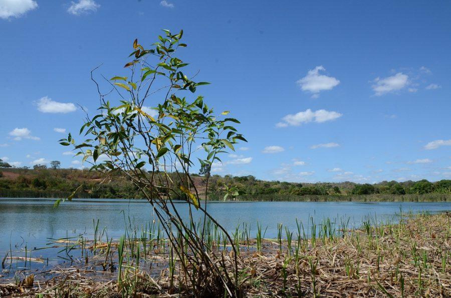 Inema promove ações de preservação e monitoramento na sub-bacia do Rio Utinga
