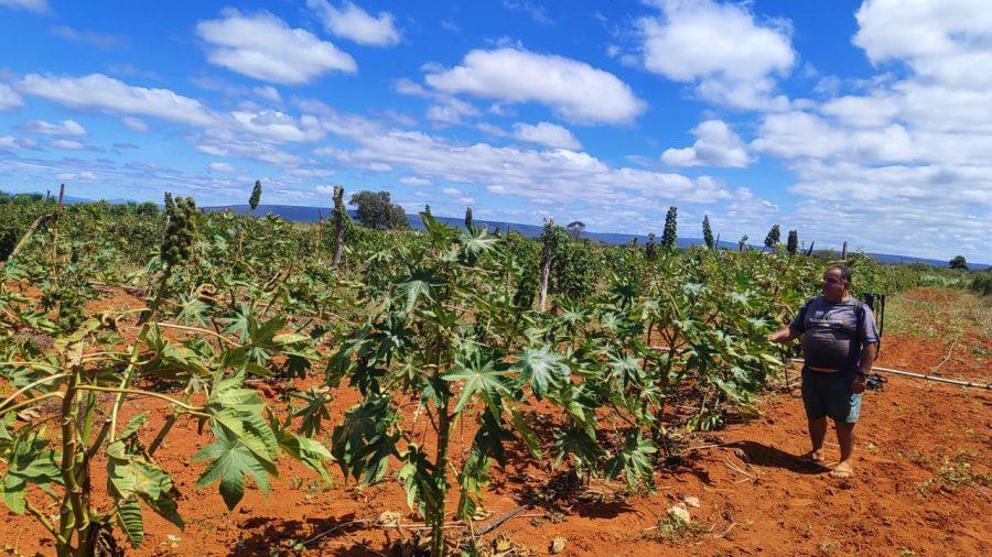Nova Lei do Combustível do Futuro abre oportunidades para Agricultura Familiar da Bahia