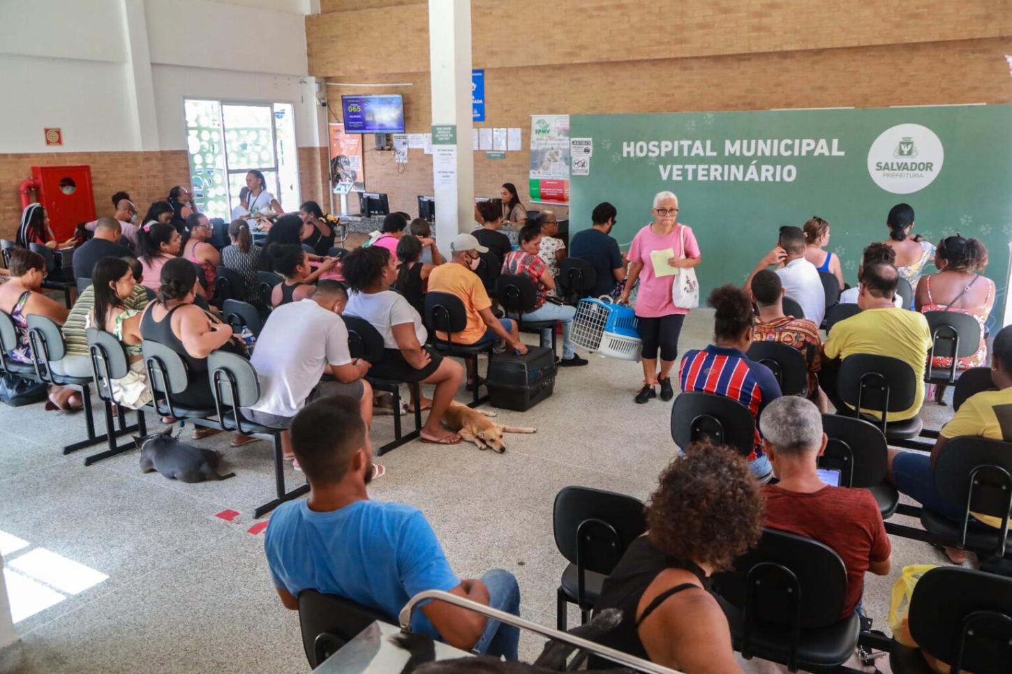 Hospital Veterinário de Salvador celebra um ano de inaugurado com mais de 50 mil animais atendidos