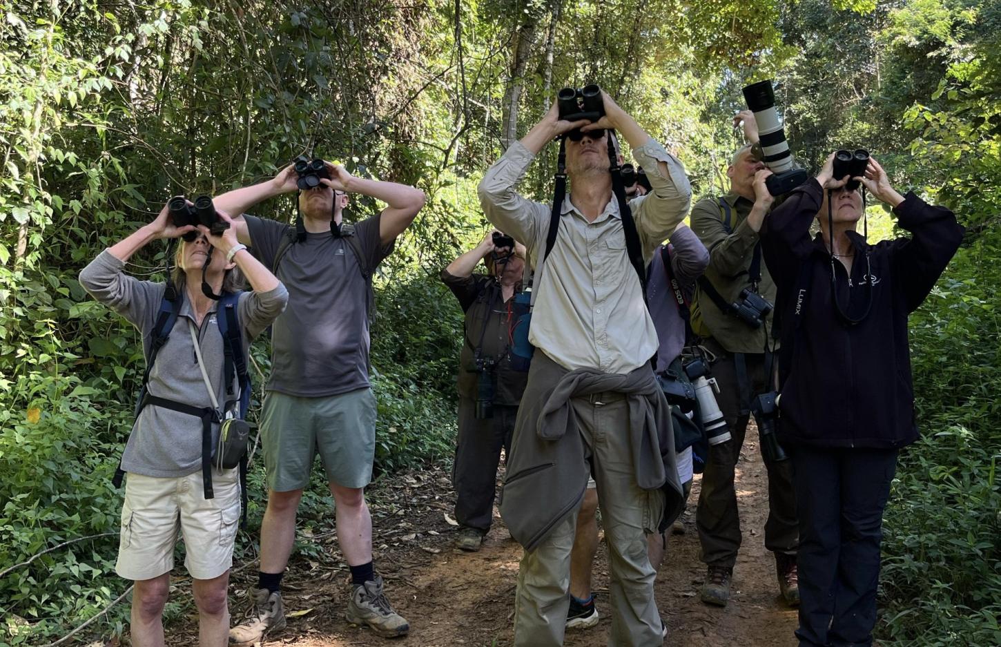 Potencial da Bahia para o turismo de observação de aves atrai operadores de viagens internacionais