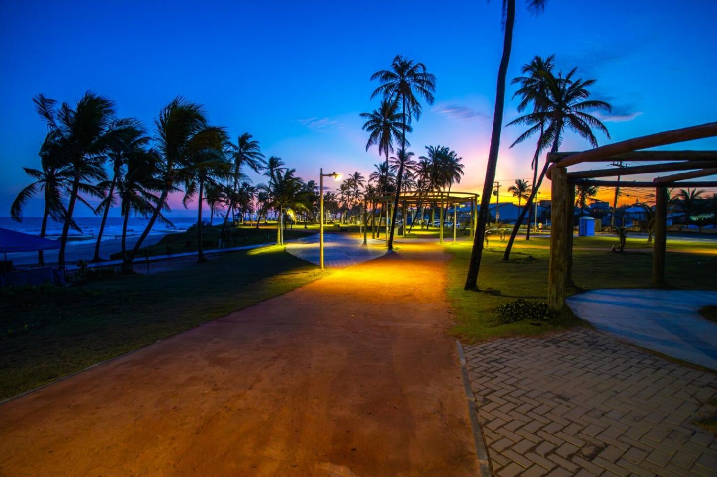 Em parceria com o Tamar, Prefeitura implanta iluminação especial nas áreas de desova de tartarugas marinhas em Salvador