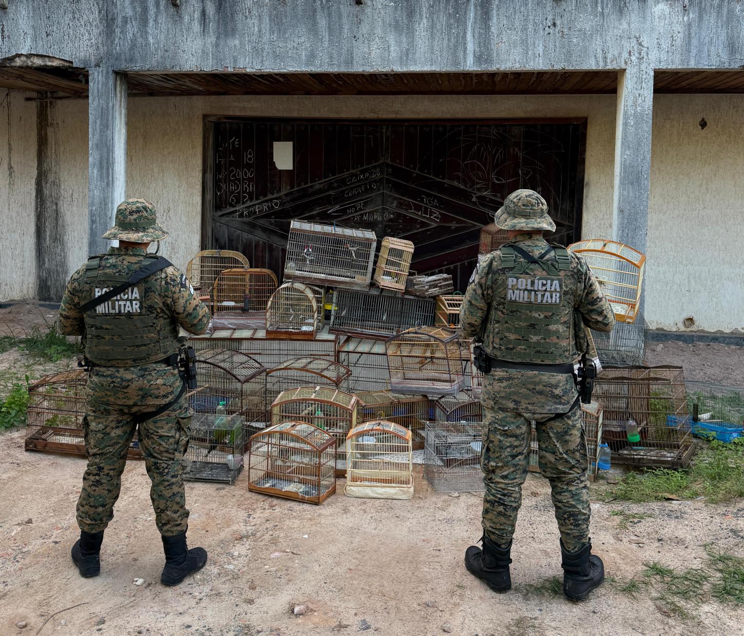 Ações ocorreram no São Gonçalo do Retiro e em Itapuã