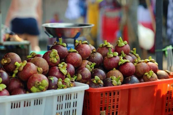 Pesquisa da Uesb transforma casca de mangostão em corante natural