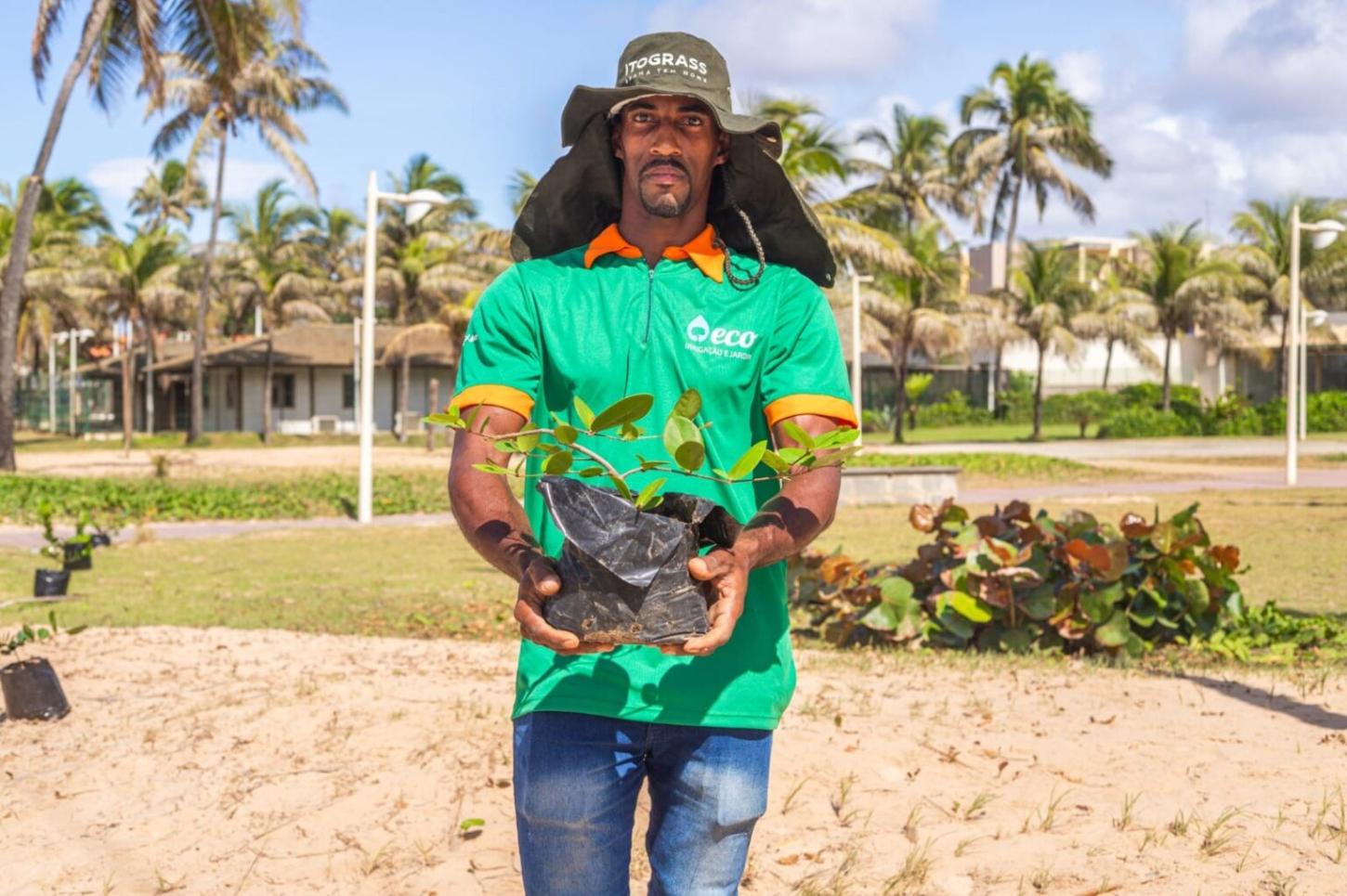 Prefeitura planta 110 espécimes de restinga em Praia do Flamengo e ultrapassa 12,5 mil novas mudas em 2025