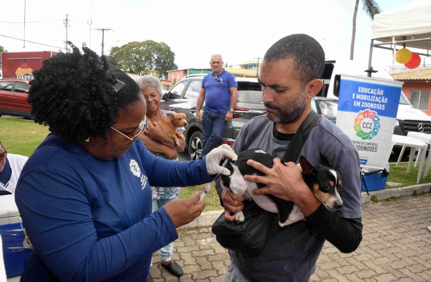 Vacinação Antirrábica: Salvador convoca tutores para imunização de cães e gatos