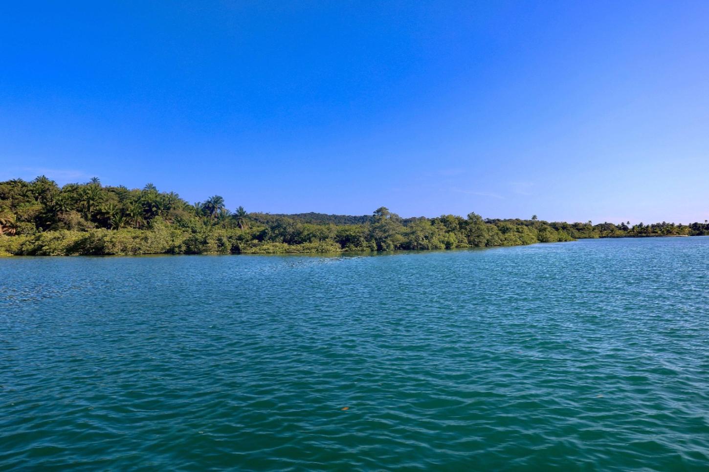 Riqueza da vida marinha revela a força dos mares da Bahia