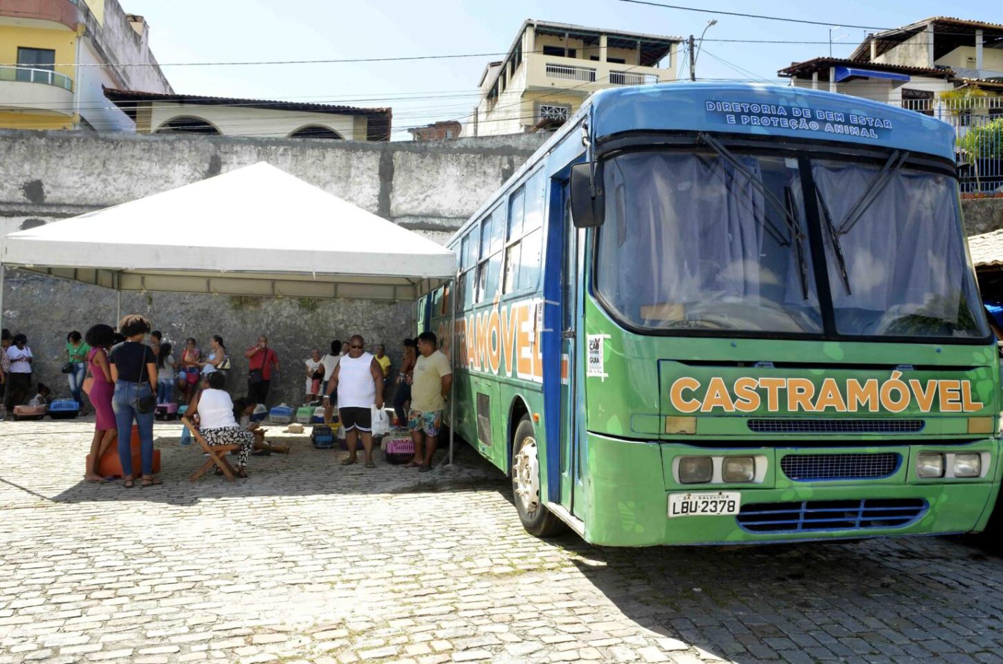 Castramóvel inicia castrações gratuitas para cães e gatos em Plataforma, nesta segunda (17)