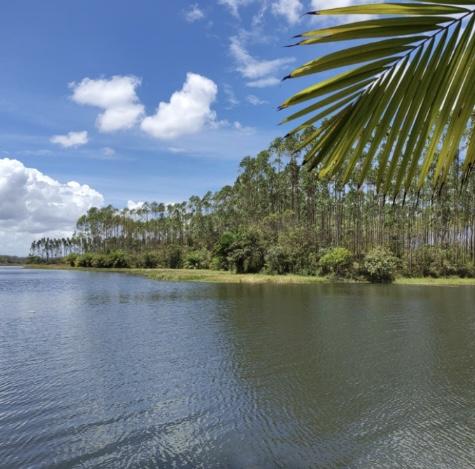 Sema apoia edital do CAMP Viva Água e reforça divulgação de oportunidades para segurança hídrica na Bahia