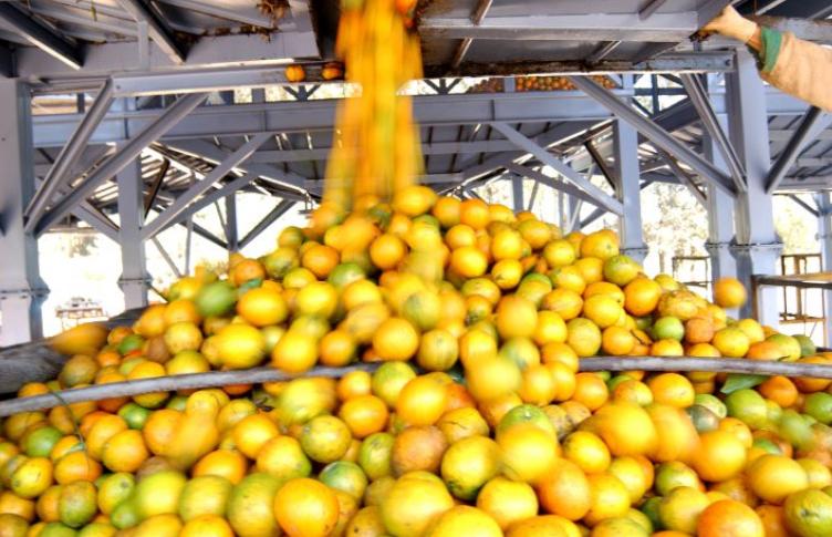 Bahia segue entre os dez maiores produtores brasileiros de grãos em 2026