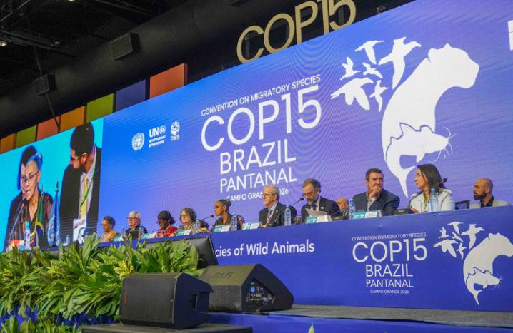 Bahia apresenta proposta sobre aves silvestres na COP15 e avança na integração entre saúde e meio ambiente