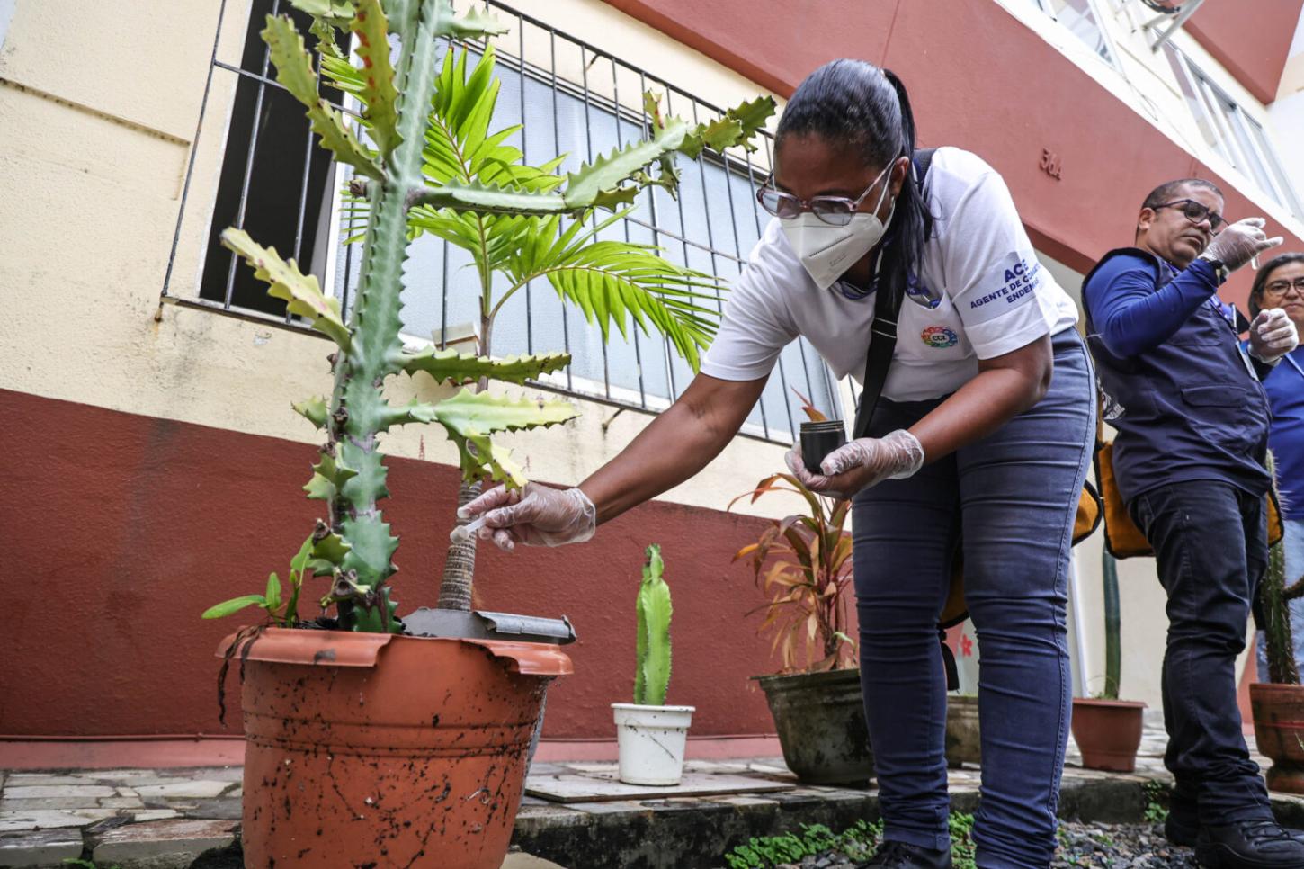 Campanha Verão Sem Mosquito inicia vistorias em condomínios de Salvador