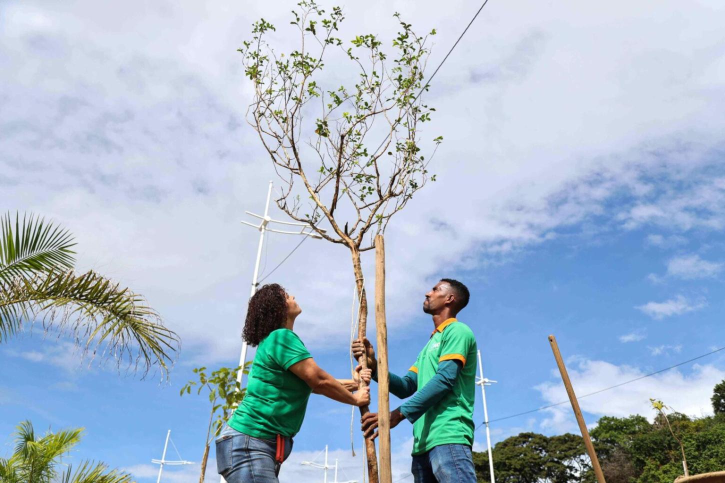 Salvador é reconhecida internacionalmente como “Tree City of the World”
