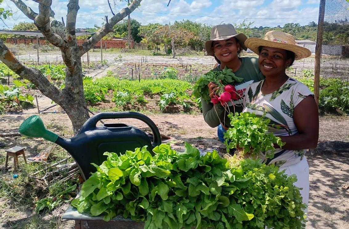 Seminário Agroecologia contra a Fome debate caminhos concretos para enfrentar a insegurança alimentar na Bahia