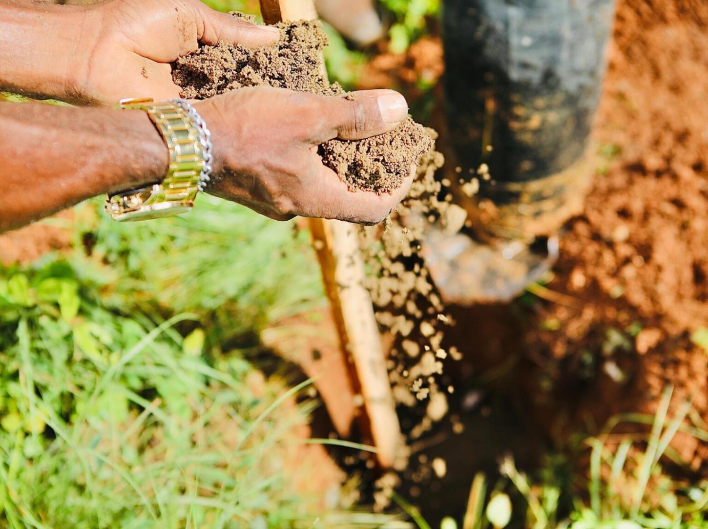Ambientaliza Salvador promove mais de 20 dias de ações sustentáveis e educação ambiental na capital