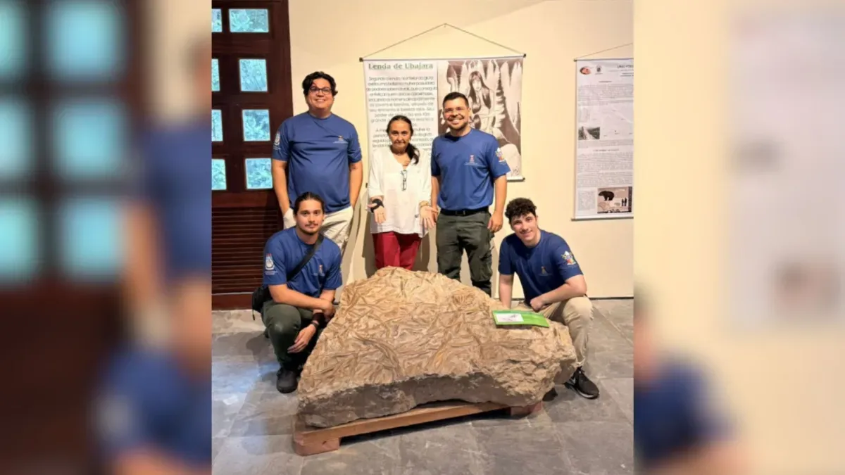 Descoberta de fóssil no Ceará indica existência de antigo mar na região