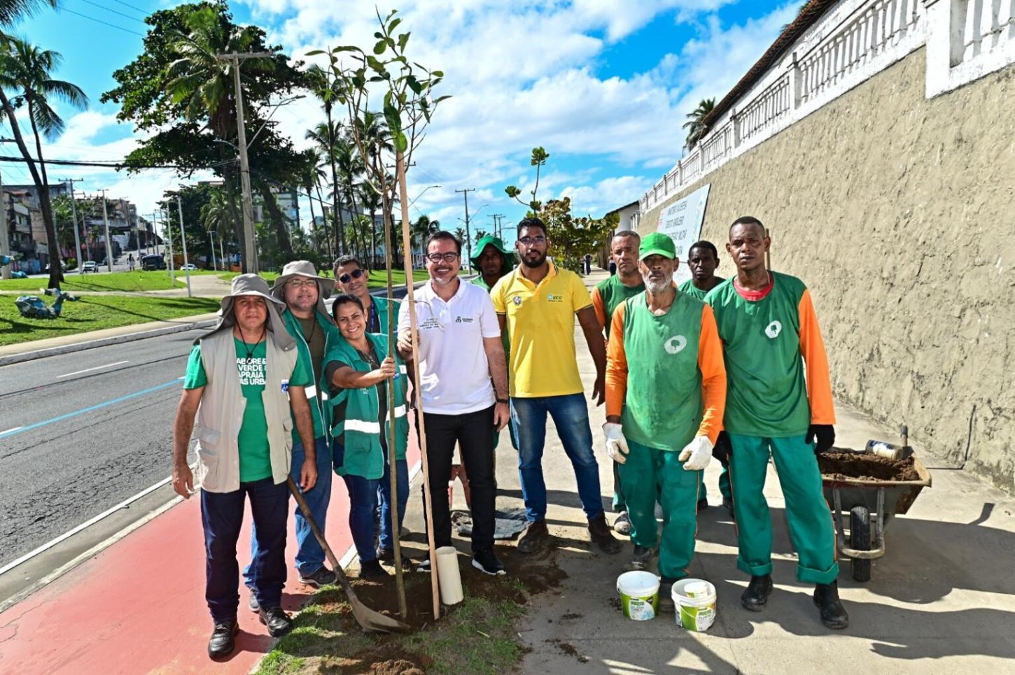 Ambientaliza Salvador: Prefeitura promove plantio de 50 mudas de árvores na orla de Amaralina