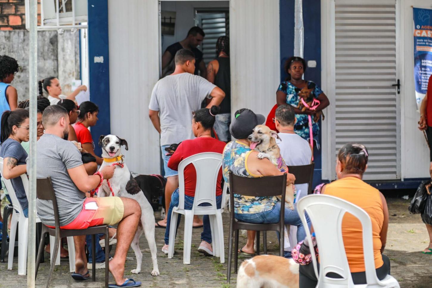 Castração gratuita da Prefeitura ajuda a reduzir abandono de animais e prevenir doenças em Salvador