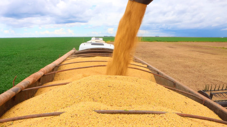 PIB do agronegócio baiano totalizou R$ 19,2 bi no 1º trimestre de 2026