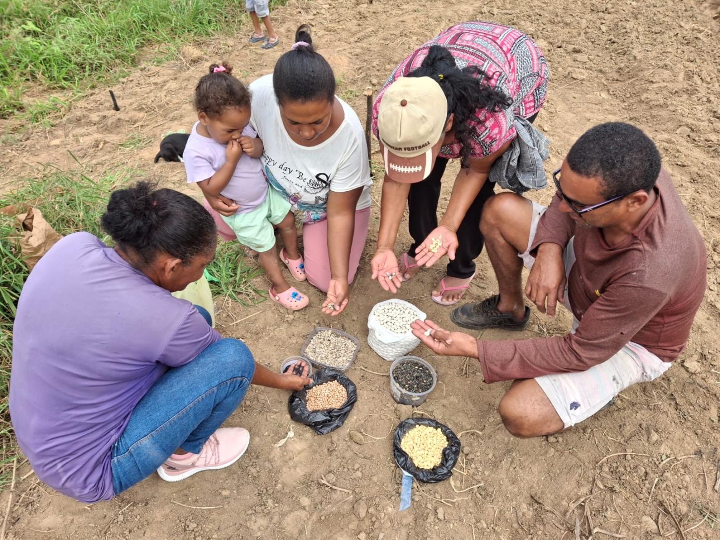 Projeto Trinacional Raízes Agroecológicas será lançado na Bahia para fortalecer a agricultura familiar, a produção e a conservação de sementes crioulas