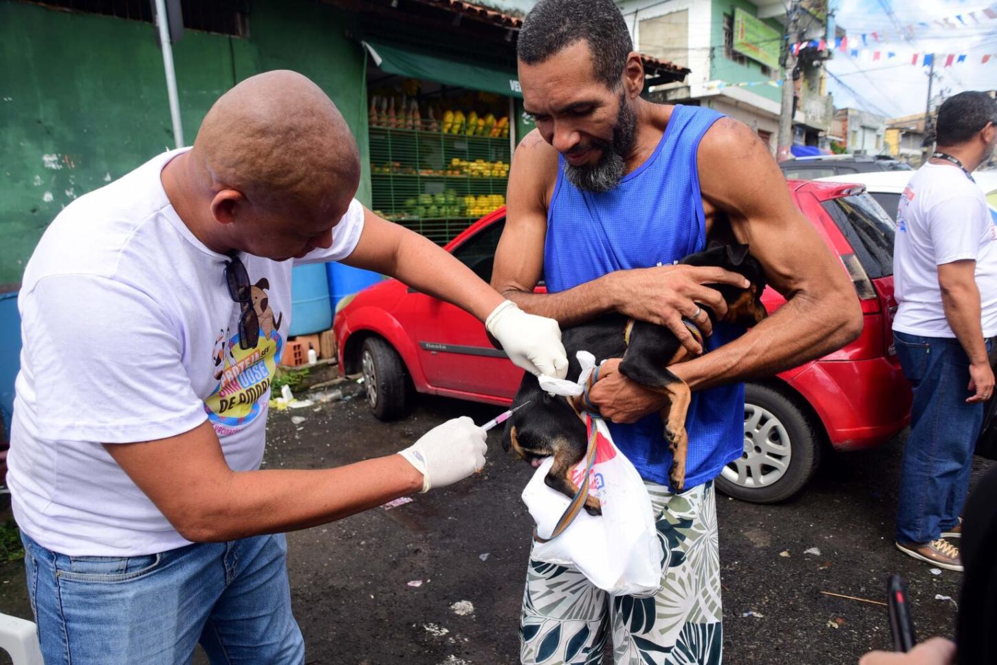 Campanha antirrábica 2026: Salvador intensifica vacinação de cães e gatos a partir desta segunda-feira (20)